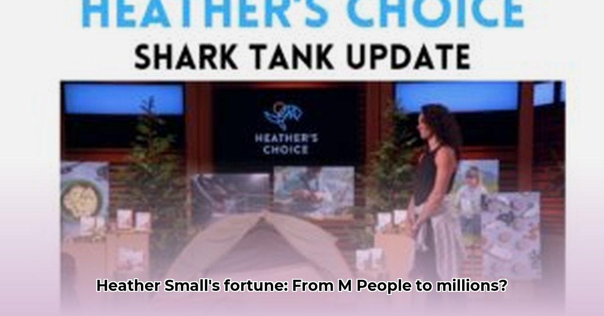 heather-small-net-worth